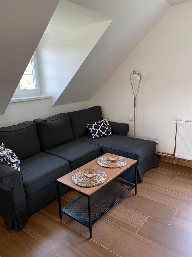 Apartmán 430 Destne v Orlickych horach Kültér fotó